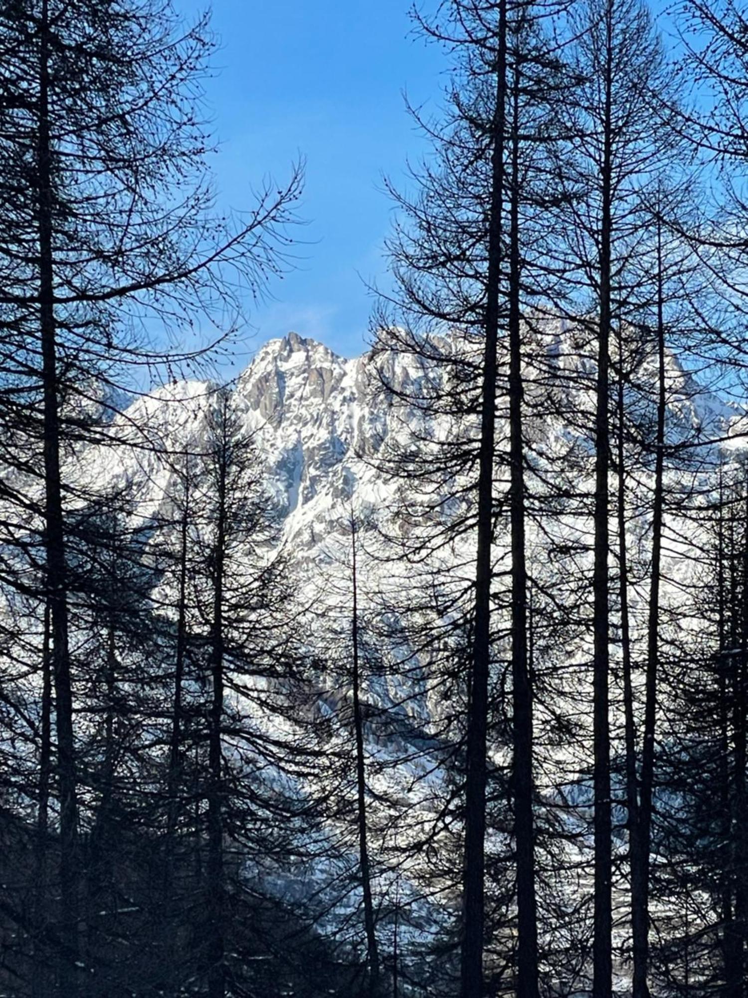 Puy St Vincent 1800 Au Pied Des Pistes Διαμέρισμα Puy-Saint-Vincent Εξωτερικό φωτογραφία
